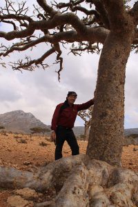 D. Gary Young leaning on a sacred frankincense tree.