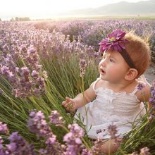 baby girl in lavender field
