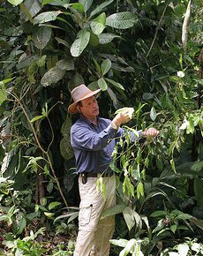 Gary Young in the Amazon