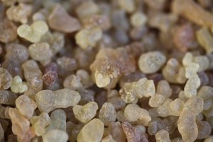 close up of frankincense resin