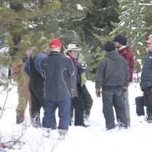 Gary Young and others during the balsam fir tree harvest