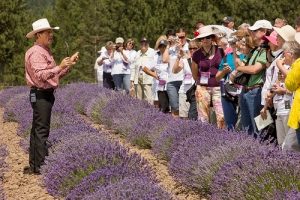Gary Young teaching people about lavender in the fields